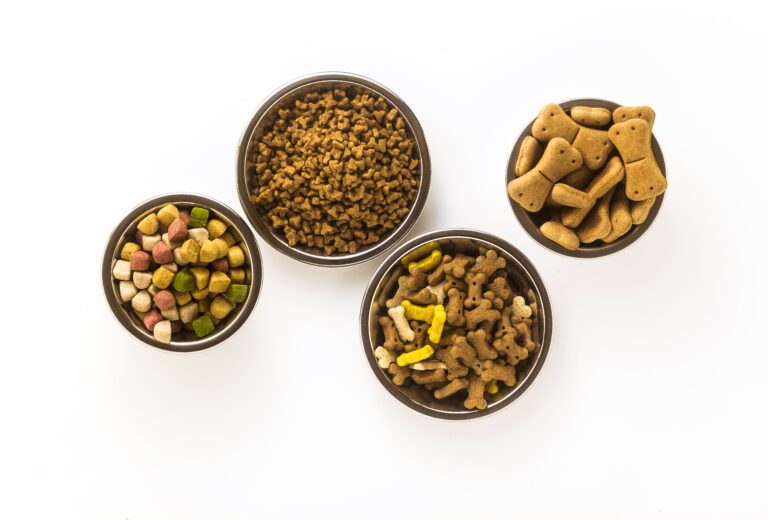 Köpeklere Hangi Ayda Ne Kadar Mama Verilir? 3612 Aylık Köpeklerde