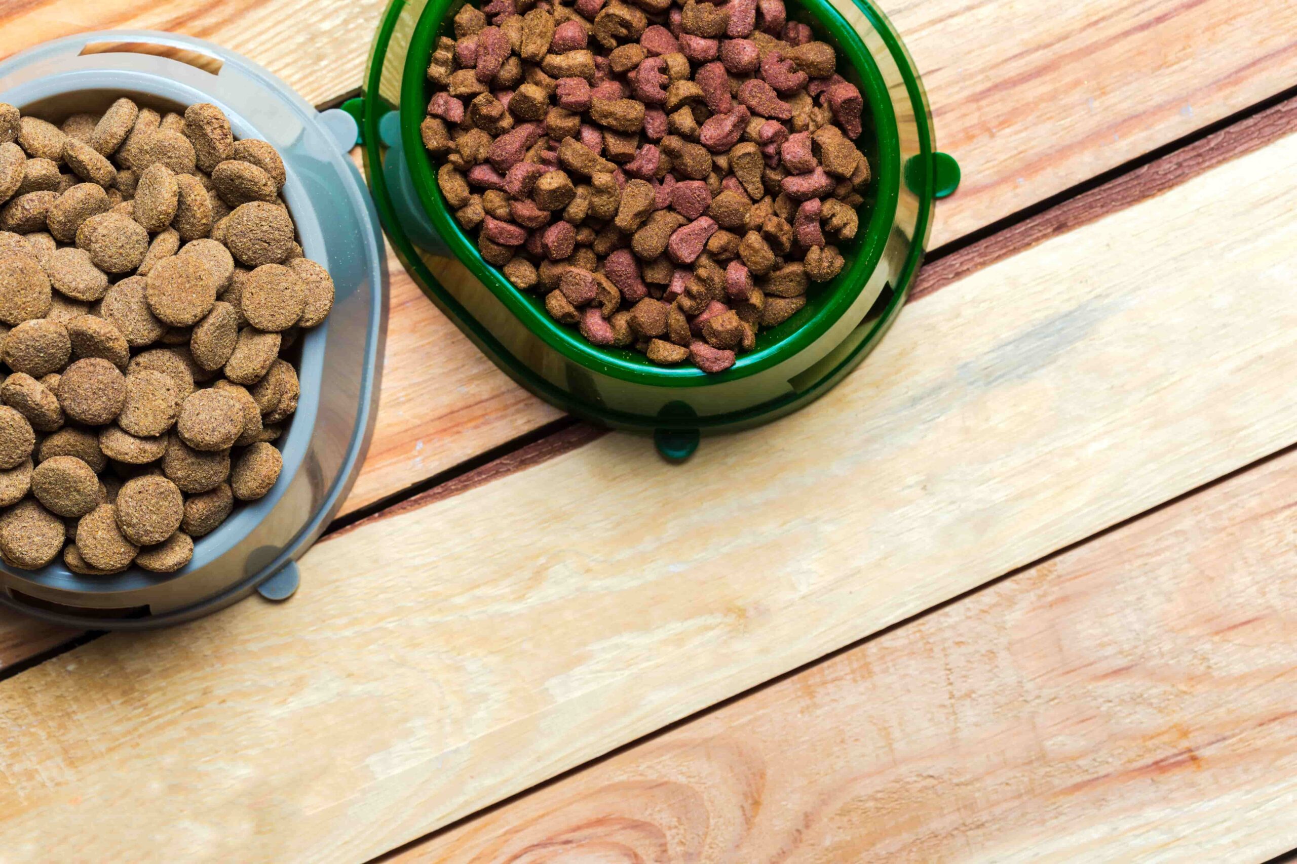 Kedi ve Köpek Mamasının Bozuk Olduğu Nasıl Anlaşılır?